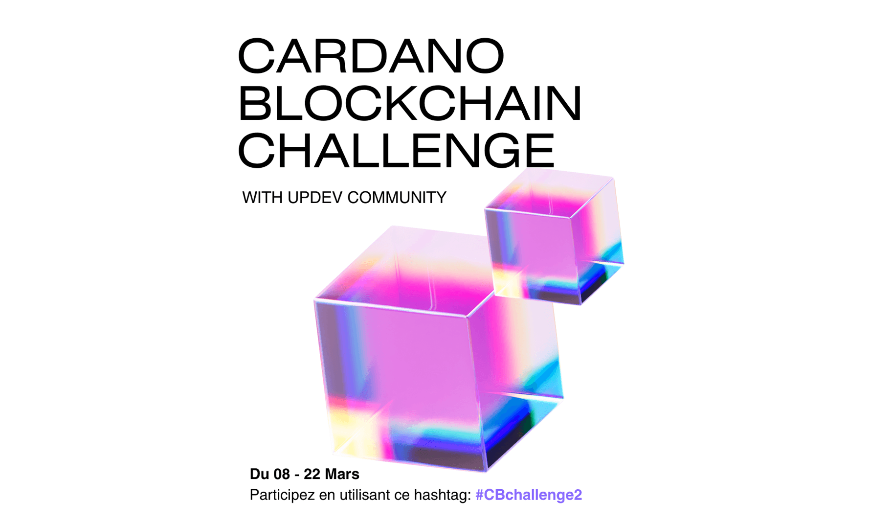 Cardano Blockchain Challenge : Écrivez et Gagnez avec vos Articles sur la Plateforme Updev Community | Updev Community