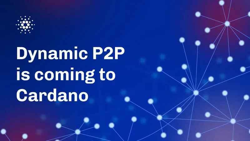 Le P2P dynamique est disponible sur le réseau principal | Updev Community